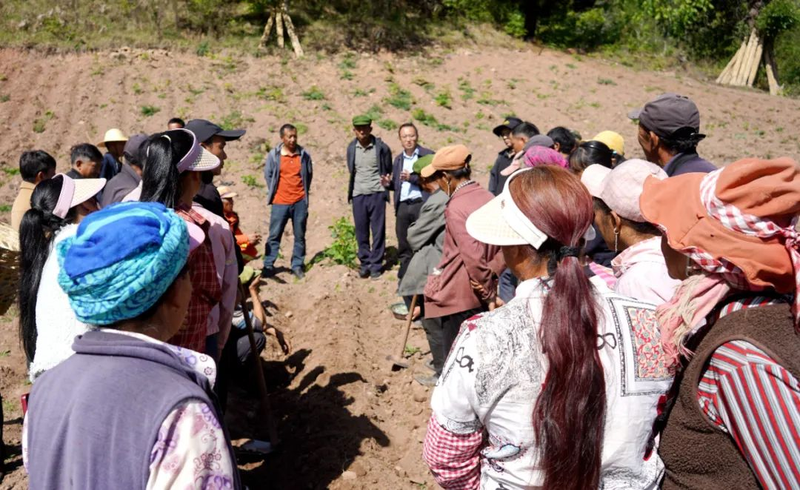 Seed cultivation methods