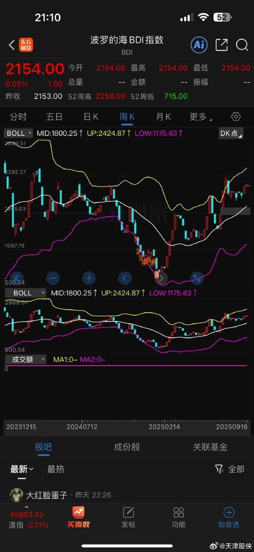 好望角型运费指数