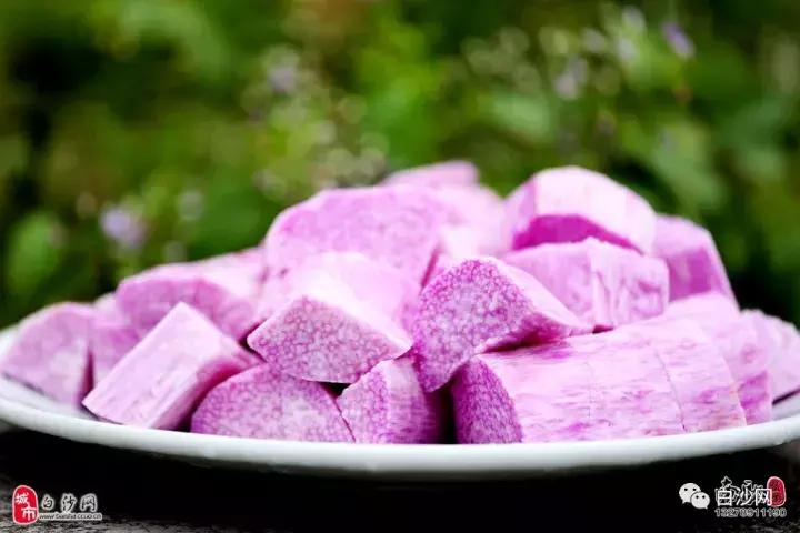 紫玉淮山种植技术