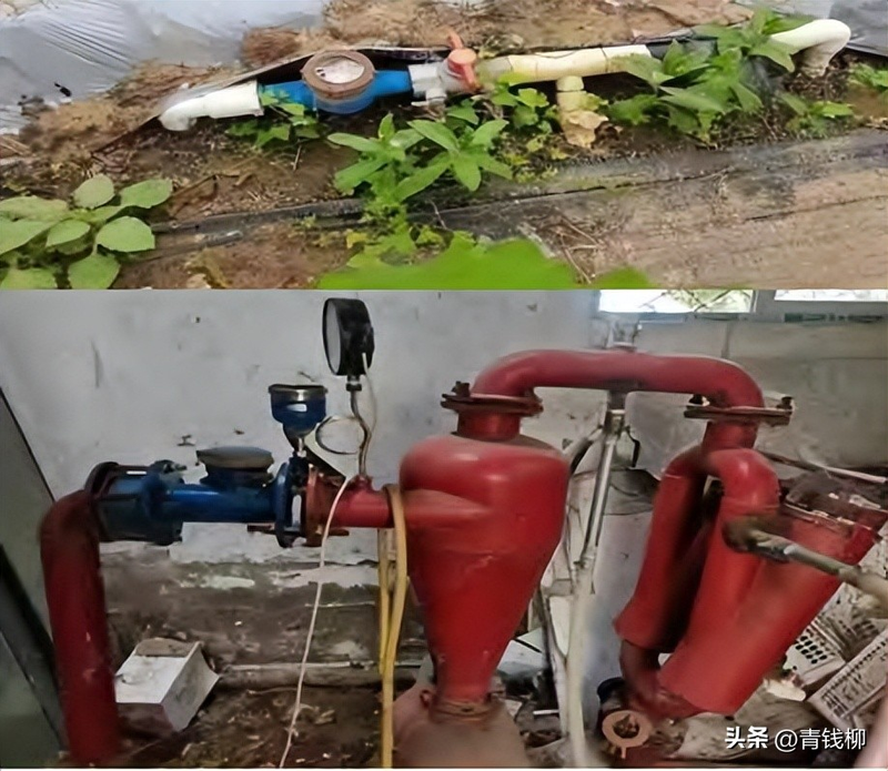 Training programme in fruit tree cultivation techniques