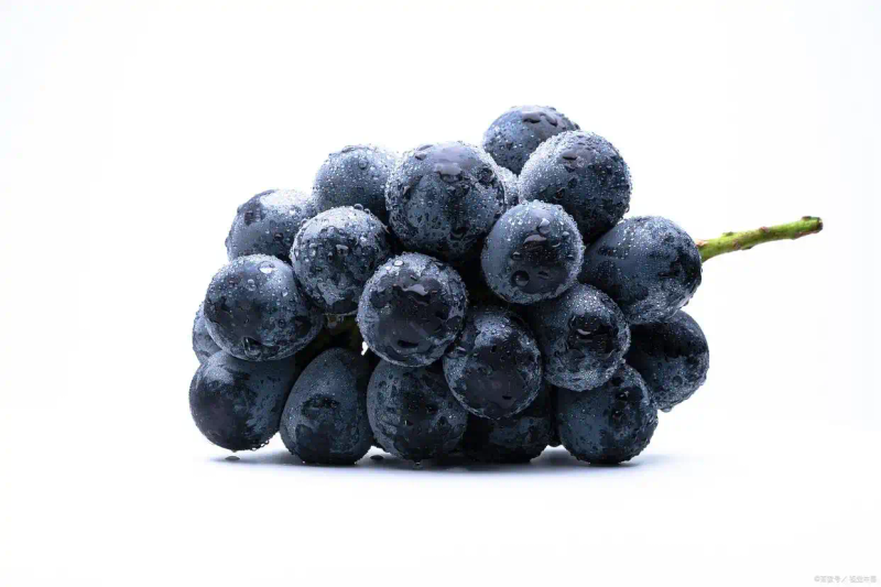 A picture of the technology of growing grapes in yunnan