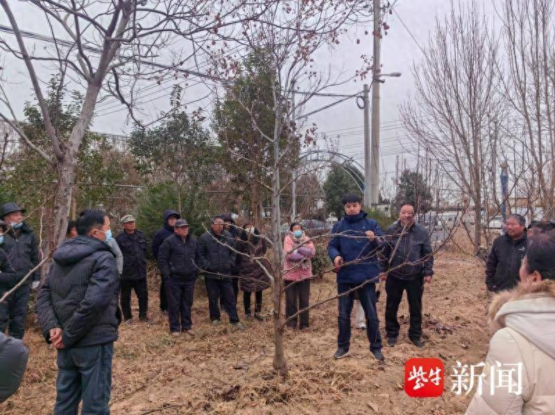 果树种植技术培训方案