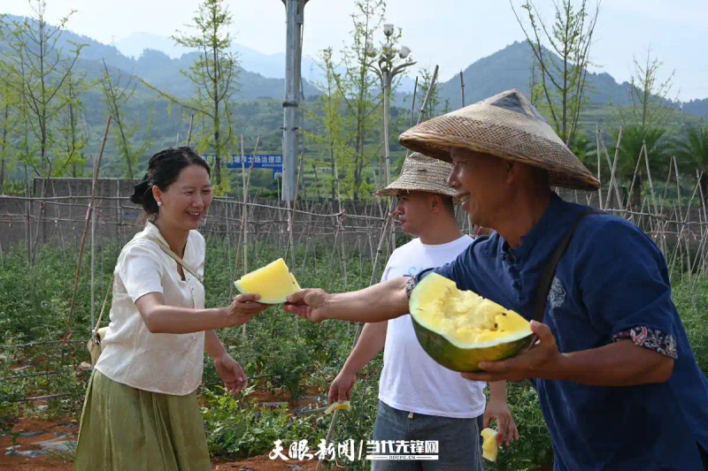 黑美人西瓜种植技术