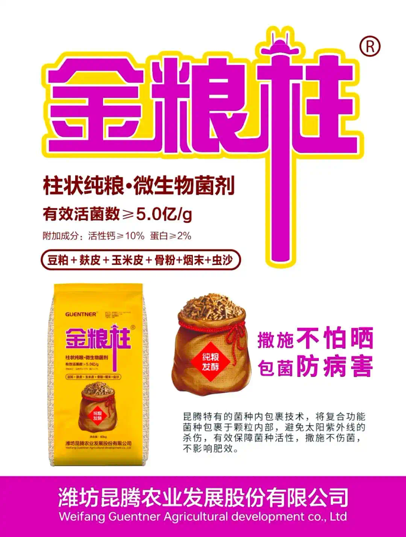 云南巨峰葡萄种植技术图片