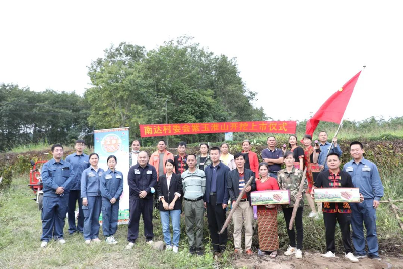 紫玉淮山种植技术