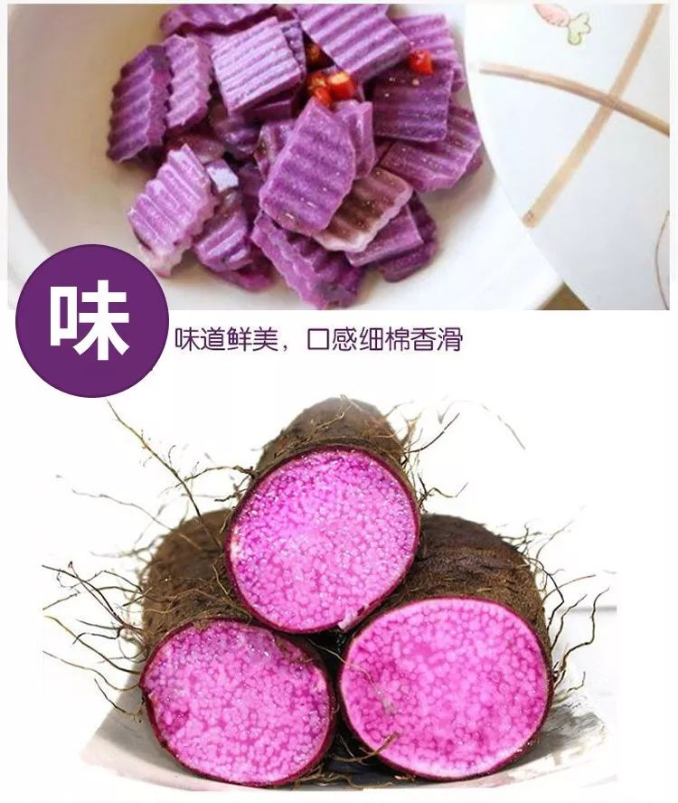 紫玉淮山种植技术