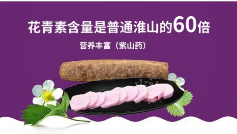 紫玉淮山种植技术