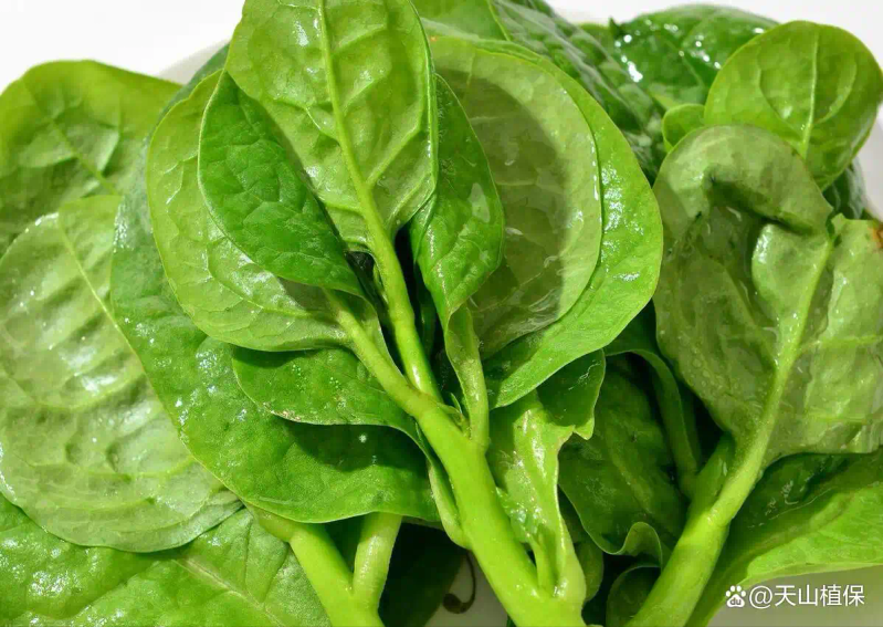 Wood cultivation methods and seasons