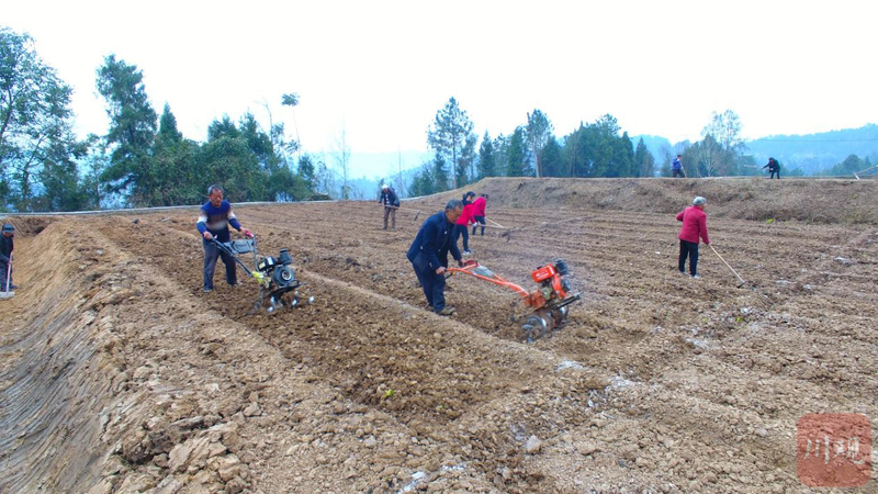 地膜玉米种植技术视频