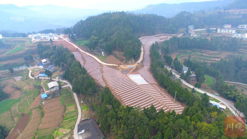 地膜玉米种植技术视频
