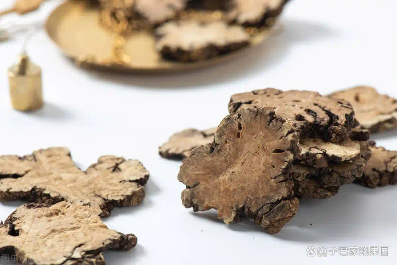 川穹的种植技术