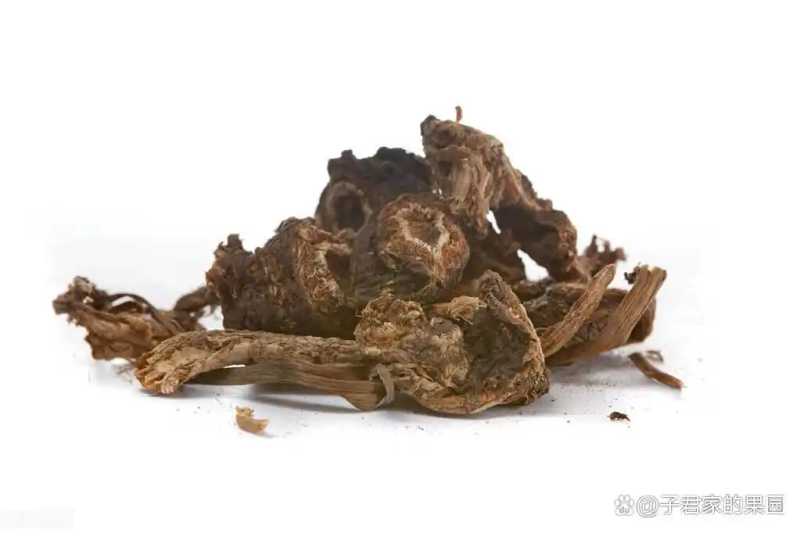 川穹的种植技术