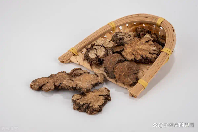 川穹的种植技术