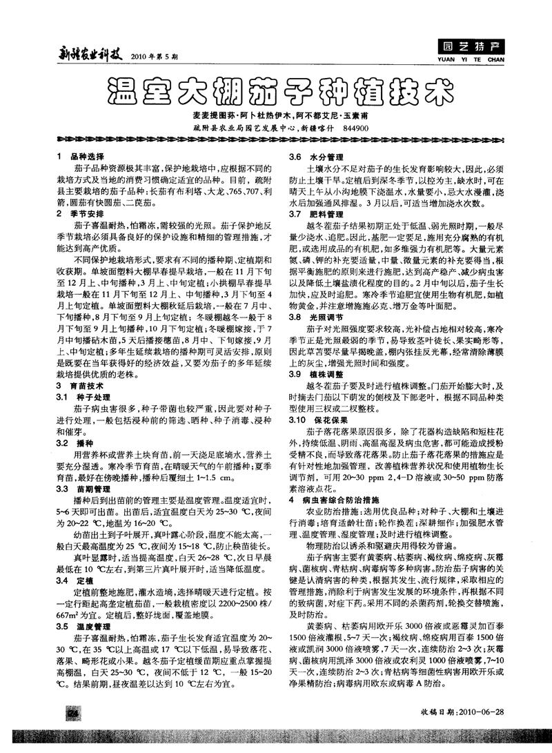 Artifact eggplant farming techniques