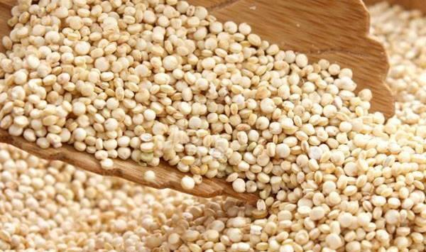 Quinoa planting techniques