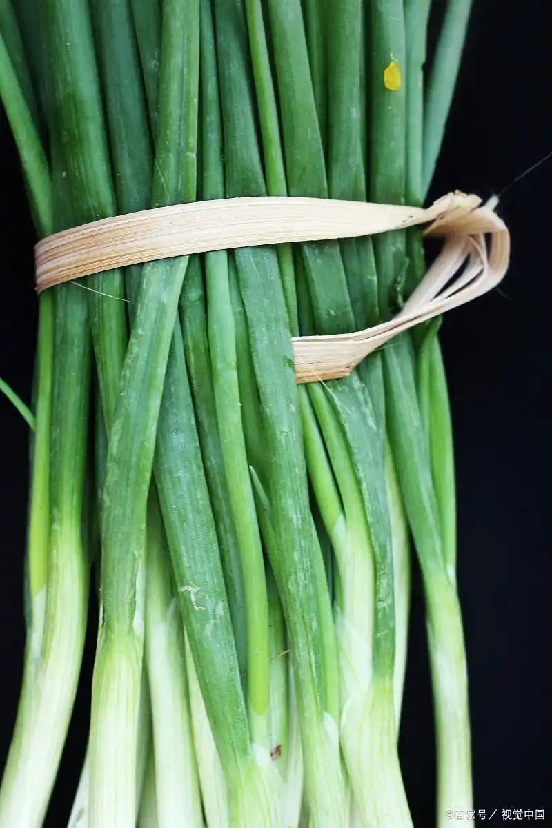 大蒜青蒜苗的种植技术