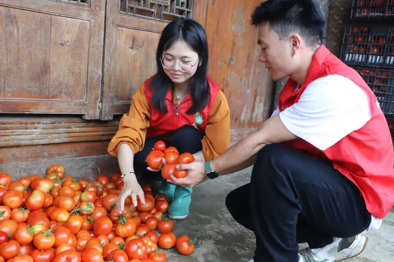 Potato-growing techniques
