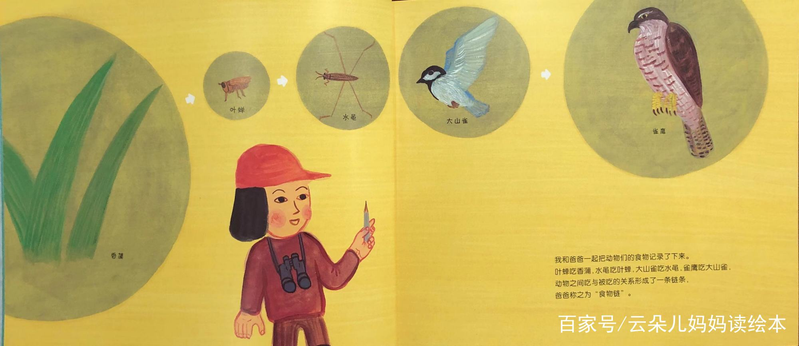 幼儿园大自然知识问答