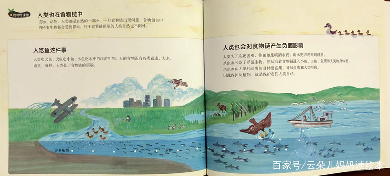 幼儿园大自然知识问答