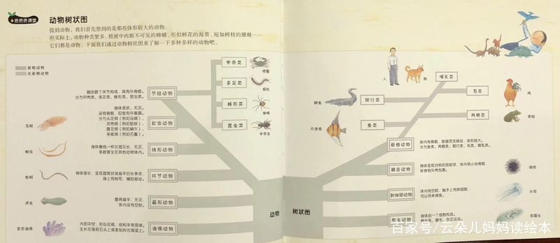 幼儿园大自然知识问答