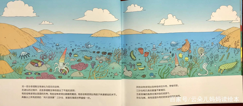 幼儿园大自然知识问答