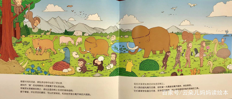 幼儿园大自然知识问答