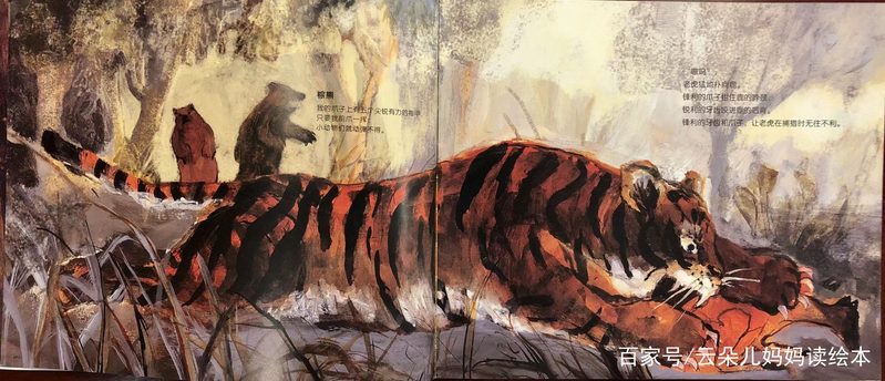 幼儿园大自然知识问答