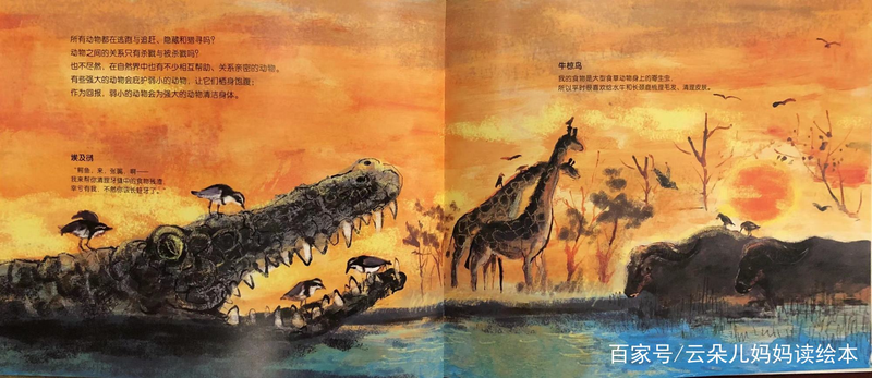 幼儿园大自然知识问答