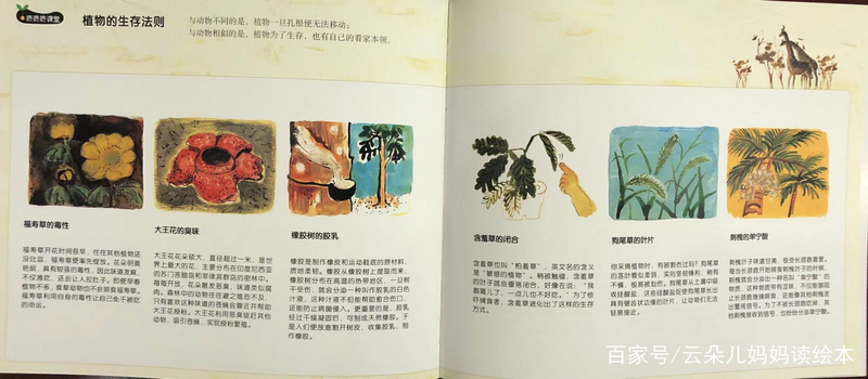 幼儿园大自然知识问答