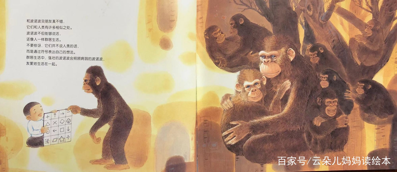 幼儿园大自然知识问答