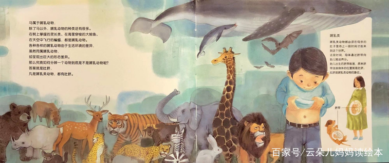 幼儿园大自然知识问答