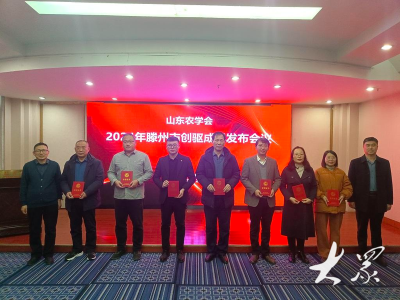 滕州大棚土豆种植技术