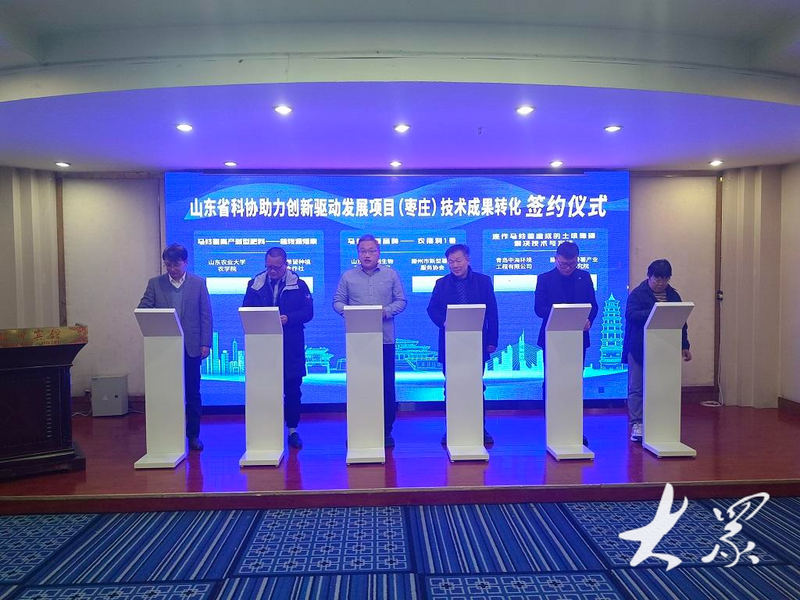 滕州大棚土豆种植技术