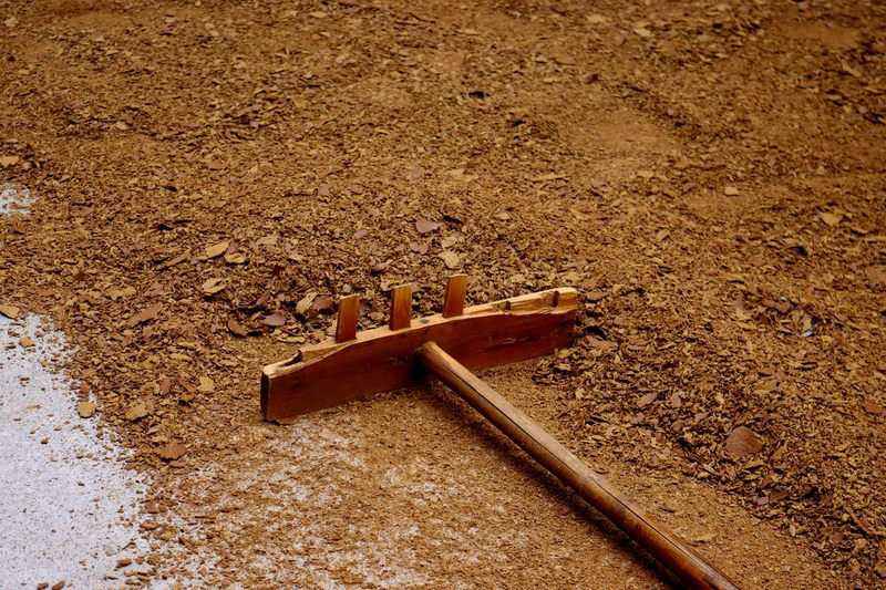 What's the method of planting the aoi