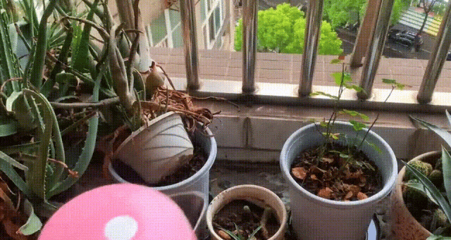 Maintenance of stainless steel electric hotpots