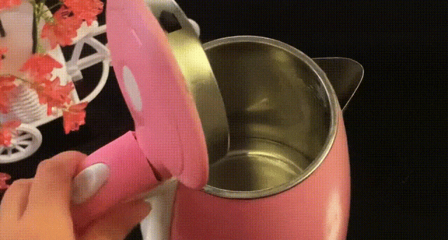 Maintenance of stainless steel electric hotpots