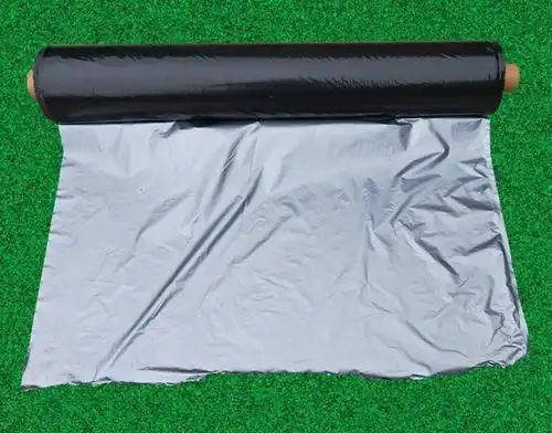 Garlic, garlic seeding techniques