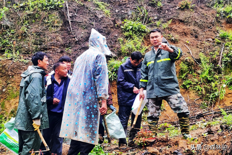 How much for a ton of eels