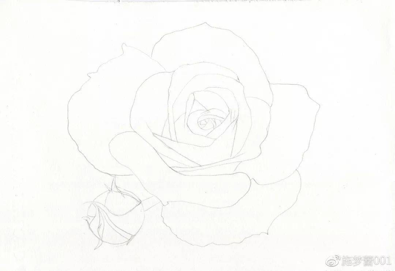 手绘彩铅唯美花朵步骤