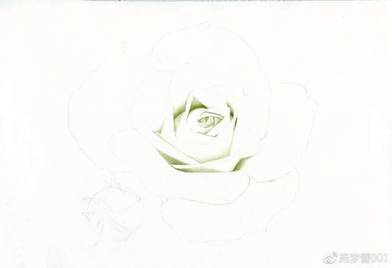 手绘彩铅唯美花朵步骤