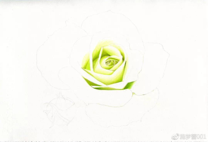 手绘彩铅唯美花朵步骤