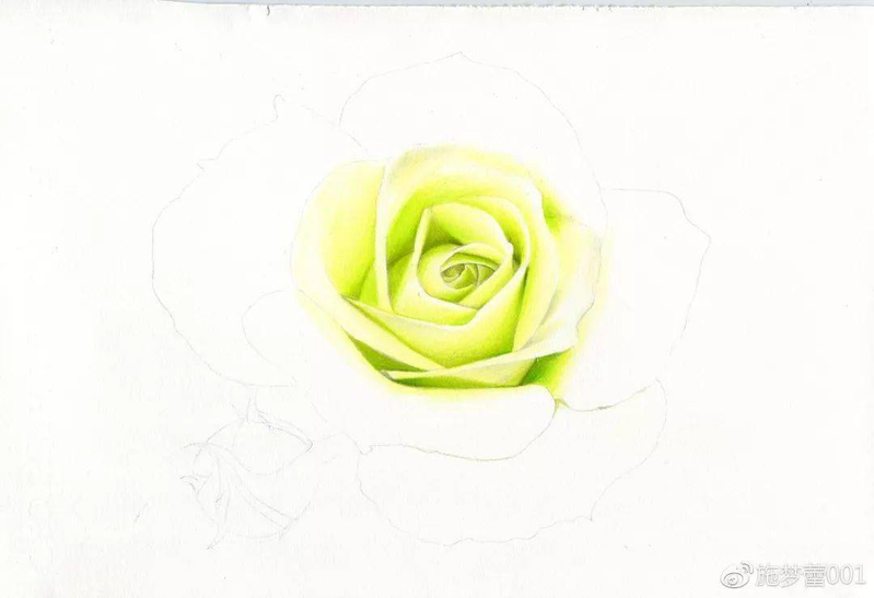 手绘彩铅唯美花朵步骤