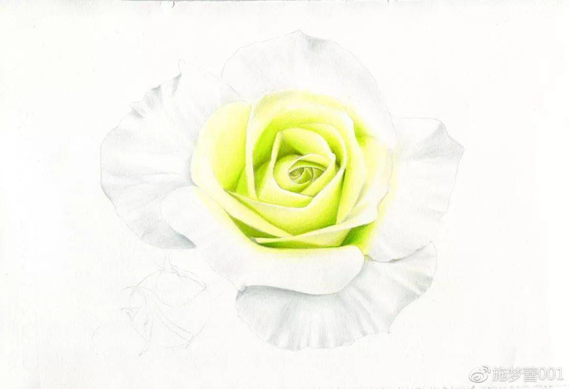 手绘彩铅唯美花朵步骤