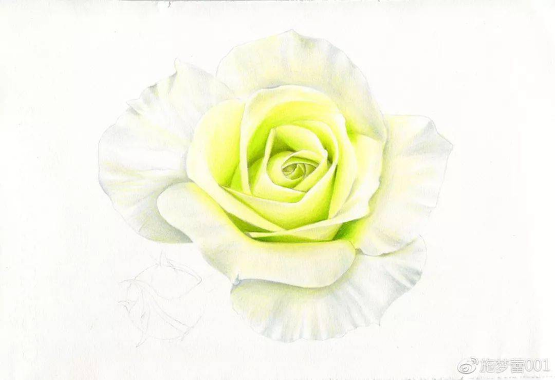 手绘彩铅唯美花朵步骤