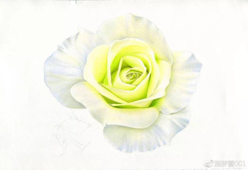 手绘彩铅唯美花朵步骤