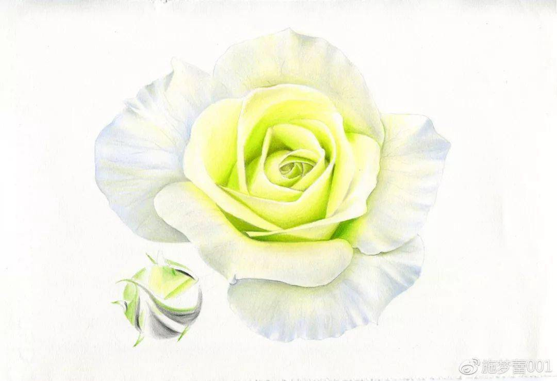 手绘彩铅唯美花朵步骤