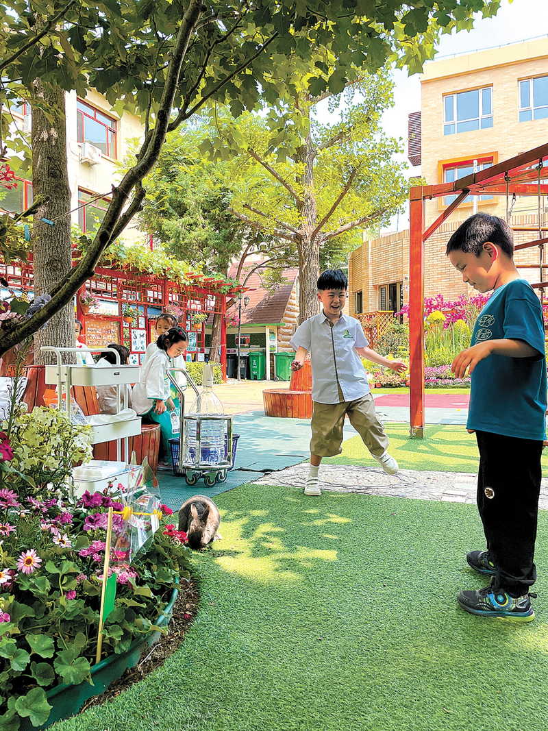 幼儿园大自然知识问答