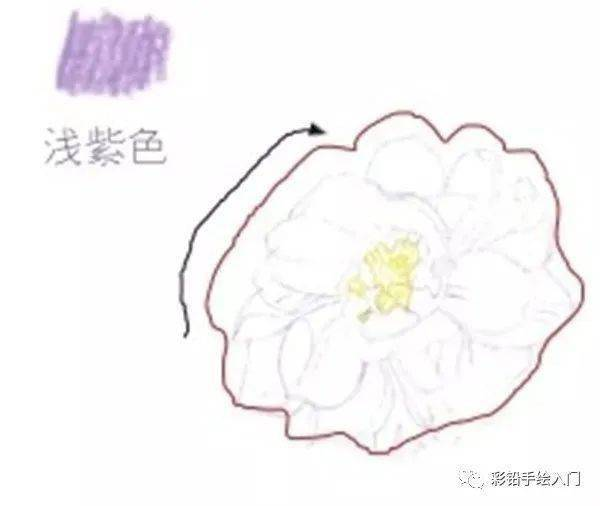 手绘彩铅唯美花朵步骤