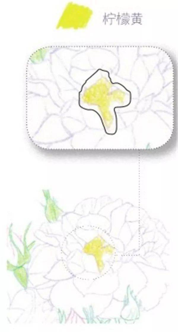 手绘彩铅唯美花朵步骤