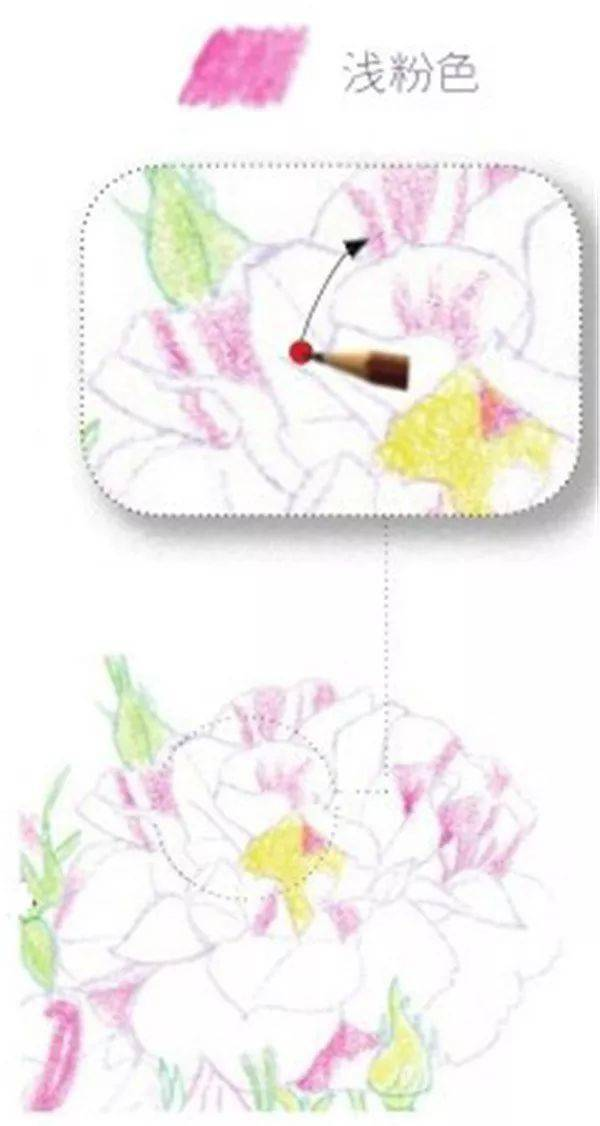 手绘彩铅唯美花朵步骤